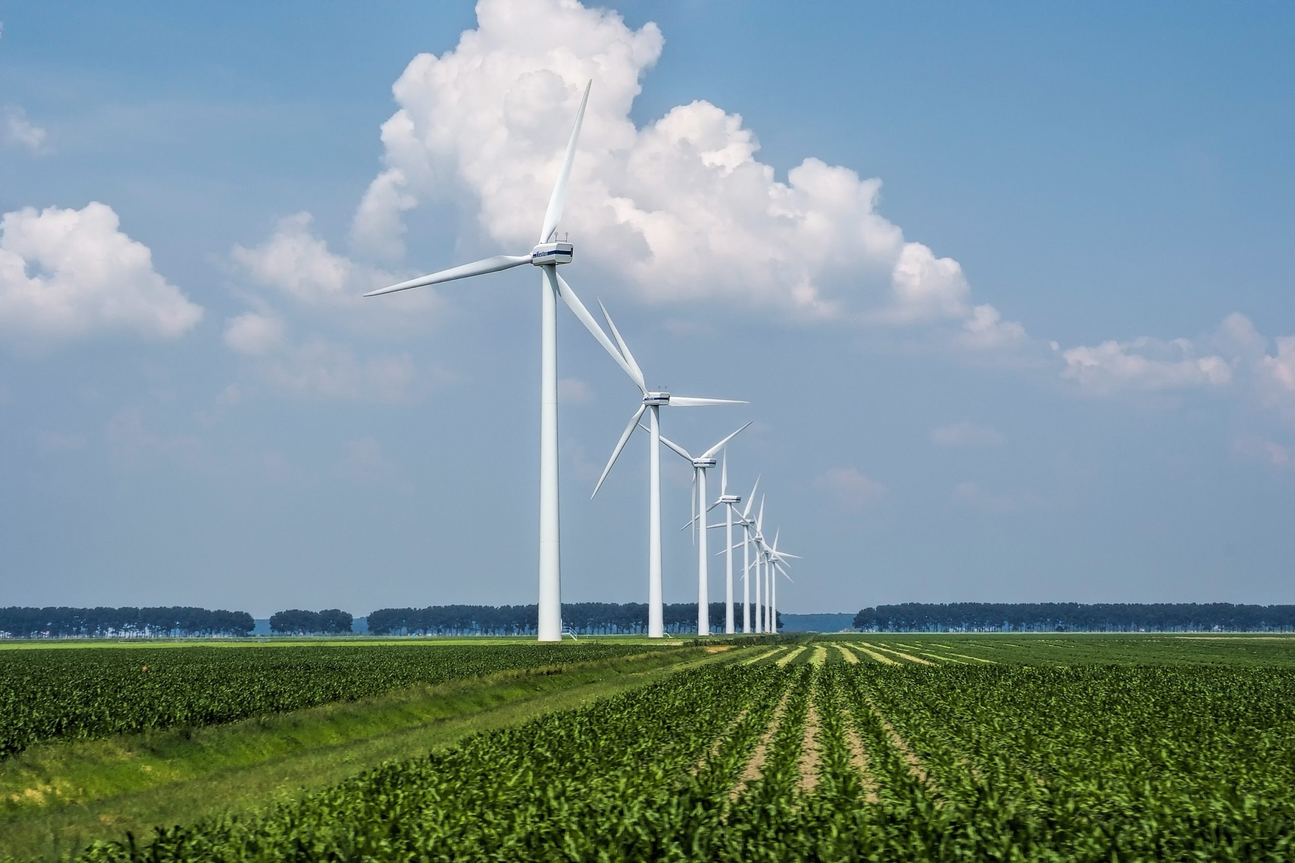 A beautiful view of the wind turbines on a grass covered field captured in Holland