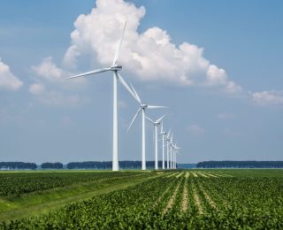 A beautiful view of the wind turbines on a grass covered field captured in Holland